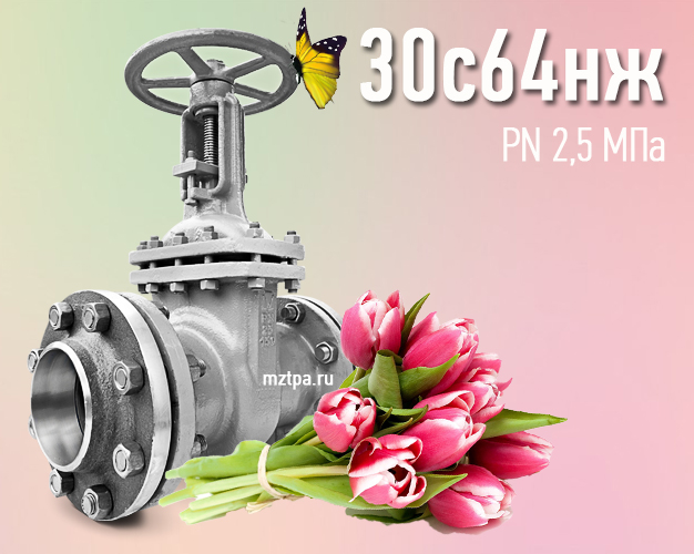 30с64нж - Задвижки стальные клиновые литые