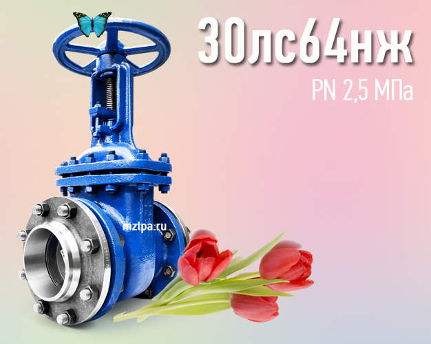 30лс64нж - Задвижки стальные клиновые литые